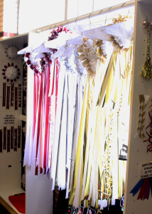 Mumsof different sizes and colors are put on a rack by the Mum sale stand in the main commons during lunches to show what options there are. Photo by Kathryn Skinner.