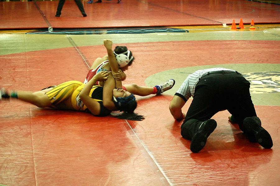 Six+wrestlers+advance+to+state+meet