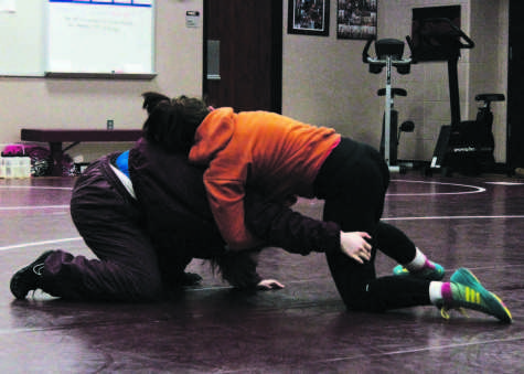 Wrestlers floor competition at State; Season comes to close with individual championship