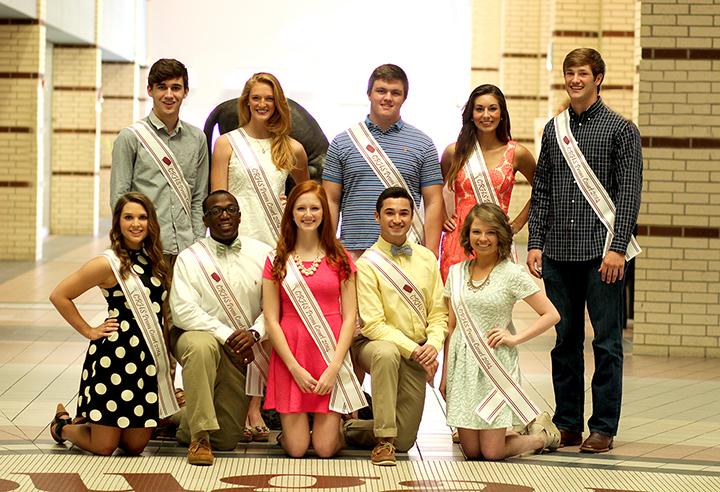 2014 prom court