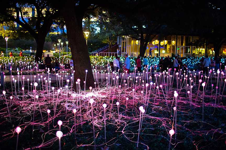 Bruce Munros thousand light exhibit will cover Discovery Green park until Feb. 8, 2015