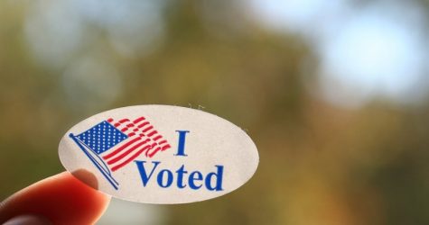 Young adults head out to vote this midterm season
