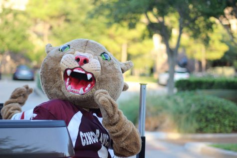 Dozens of Cinco student clubs and sports teams marched down Cinco Boulevard in the Homecoming Parade last Wednesday.