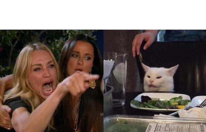 The “Woman and Cat Meme” rose to popularity relatively recently. It first surfaced May 1, 2019. 