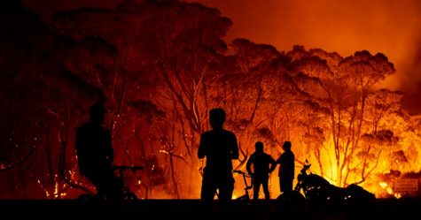 Australia’s burning, here’s what you need to know