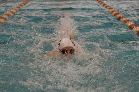 Swim Team Culminates Season at State Meet