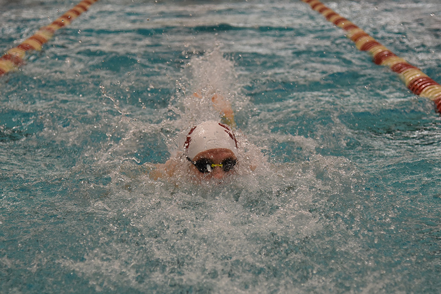 Cinco swimmers and divers culminate the season at the state meet Feb. 14-15
