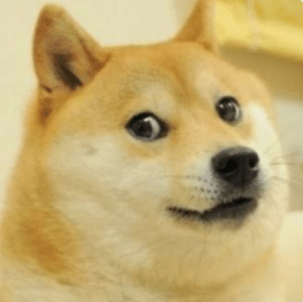 The Doge meme was popularized in 2013 and resurfaced in 2019.
