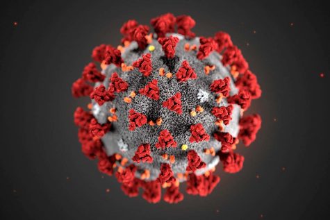 (Above) The Covid-19 Coronovirus cell continues to alter human daily life during a global virus pandemic. Texas Governor Greg Abbott announced Friday, April 17 that all Texas schools, public and private would remain closed for the duration of the 2019-2020 school year.