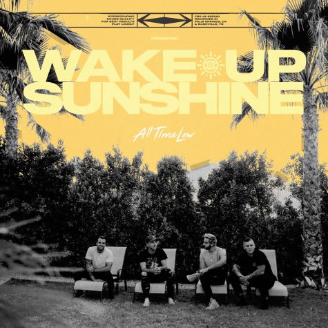 Photo courtesy of https://www.alltimelow.com/skod