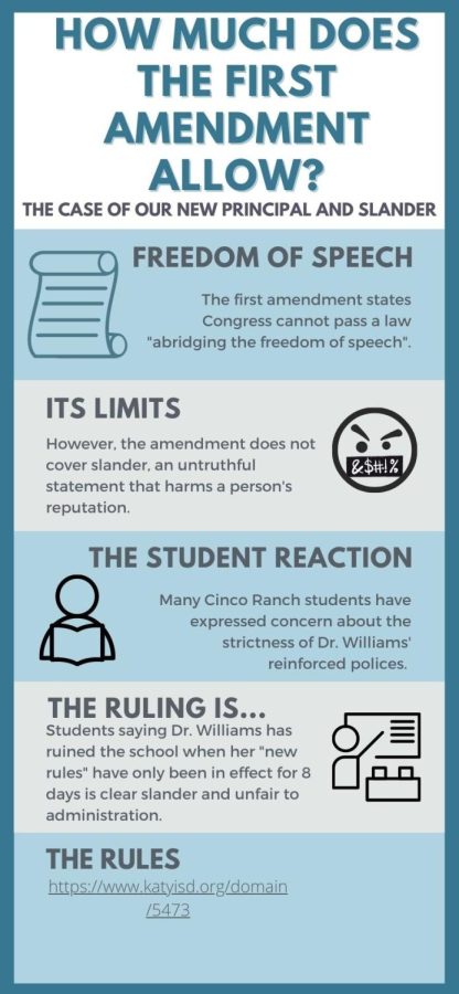 This infographic shows how much the first amendment protects.